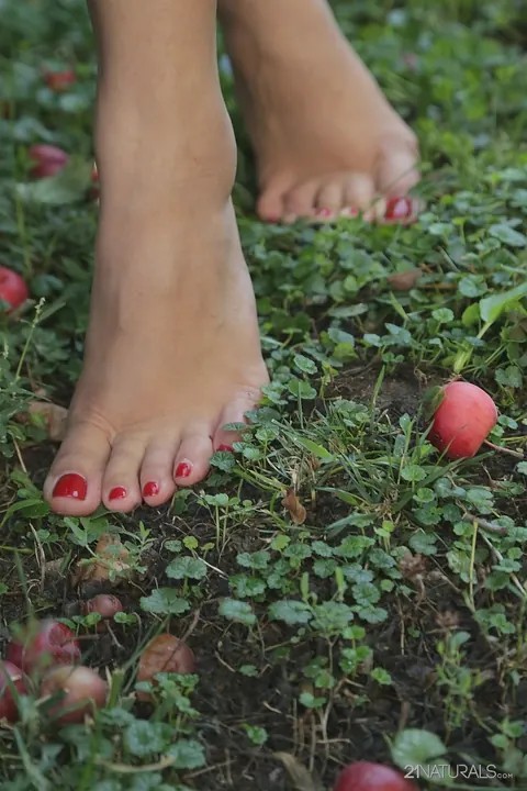 Kira Queen: Russian Brunette Picks Fruit Outdoors in a Skirt – photo 13 of 17