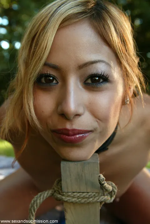 Adrianna Nicole: Slim Asian MILF Submits to Bondage Threesome with Two Men – photo 2 of 20