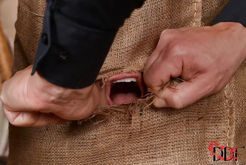 Tigerr Benson: Curvy Asian MILF Restrained for Deepthroat and Group Facials – photo 11 of 16