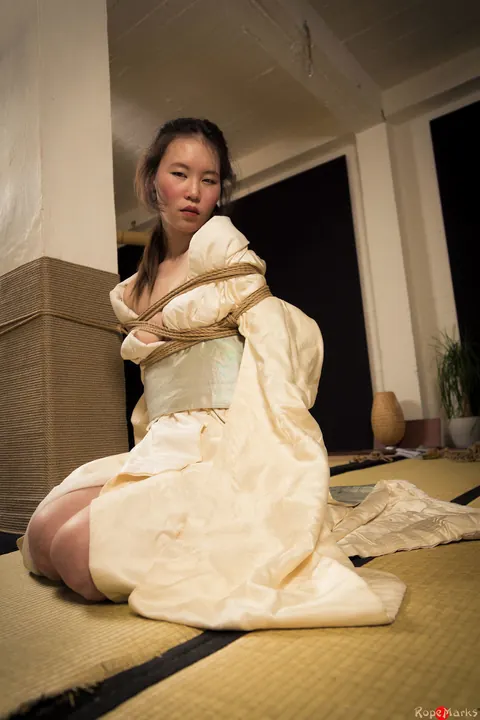 Asian Brunette Restrained with Rope in Shibari Session – photo 15 of 16